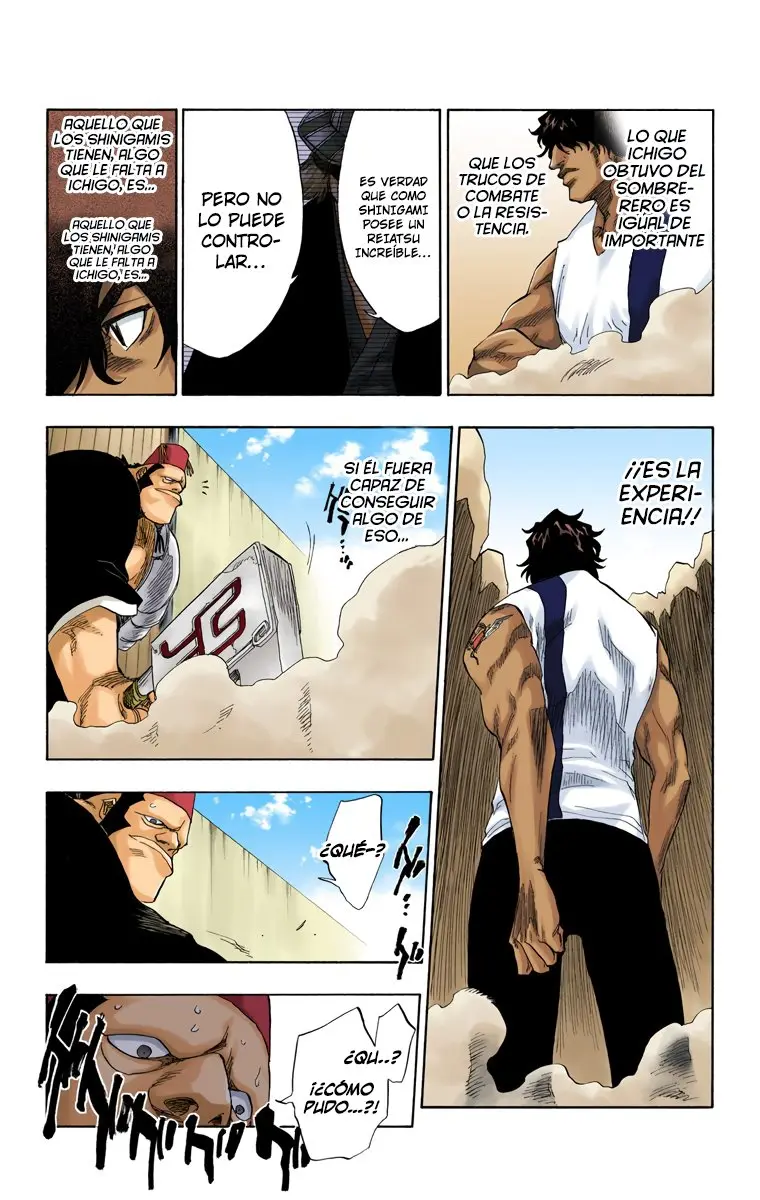 Bleach (Color) capítulo 72, página 18