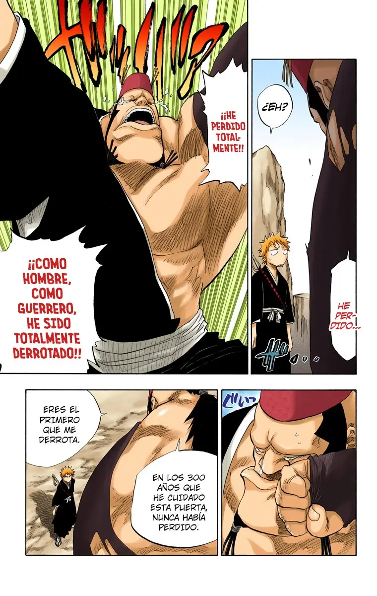 Bleach (Color) capítulo 74, página 9