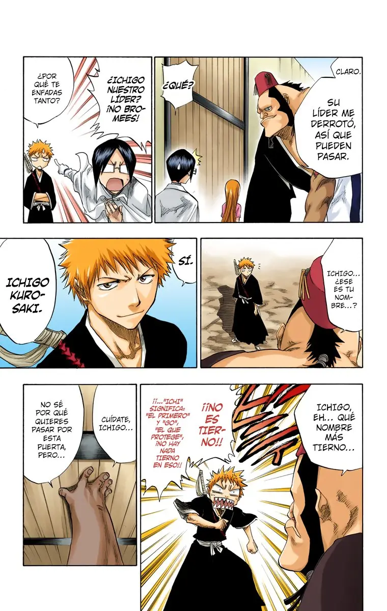 Bleach (Color) capítulo 74, página 11