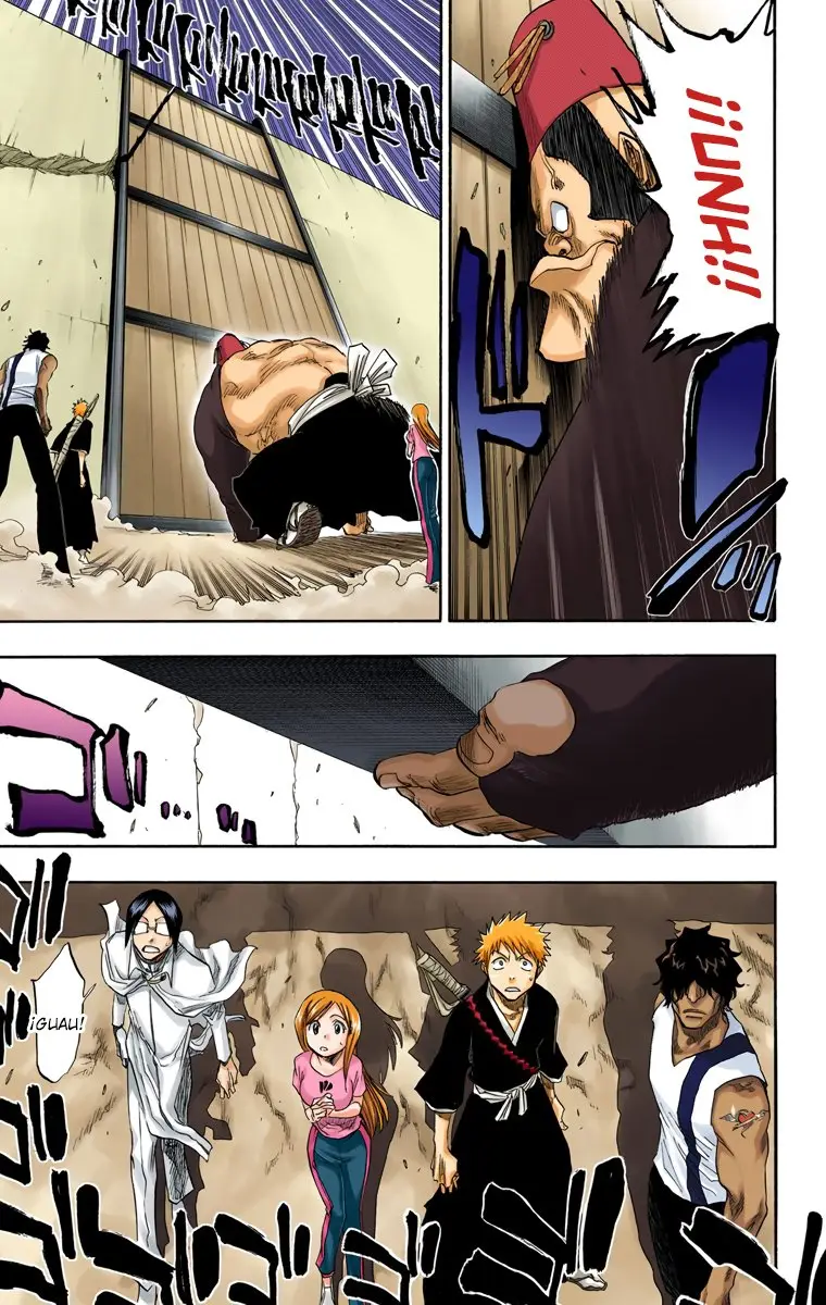 Bleach (Color) capítulo 74, página 13