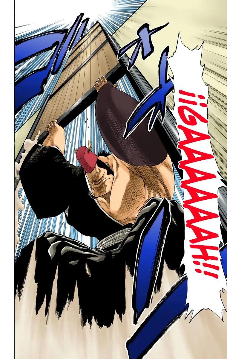 Bleach (Color) capítulo 74, página 14
