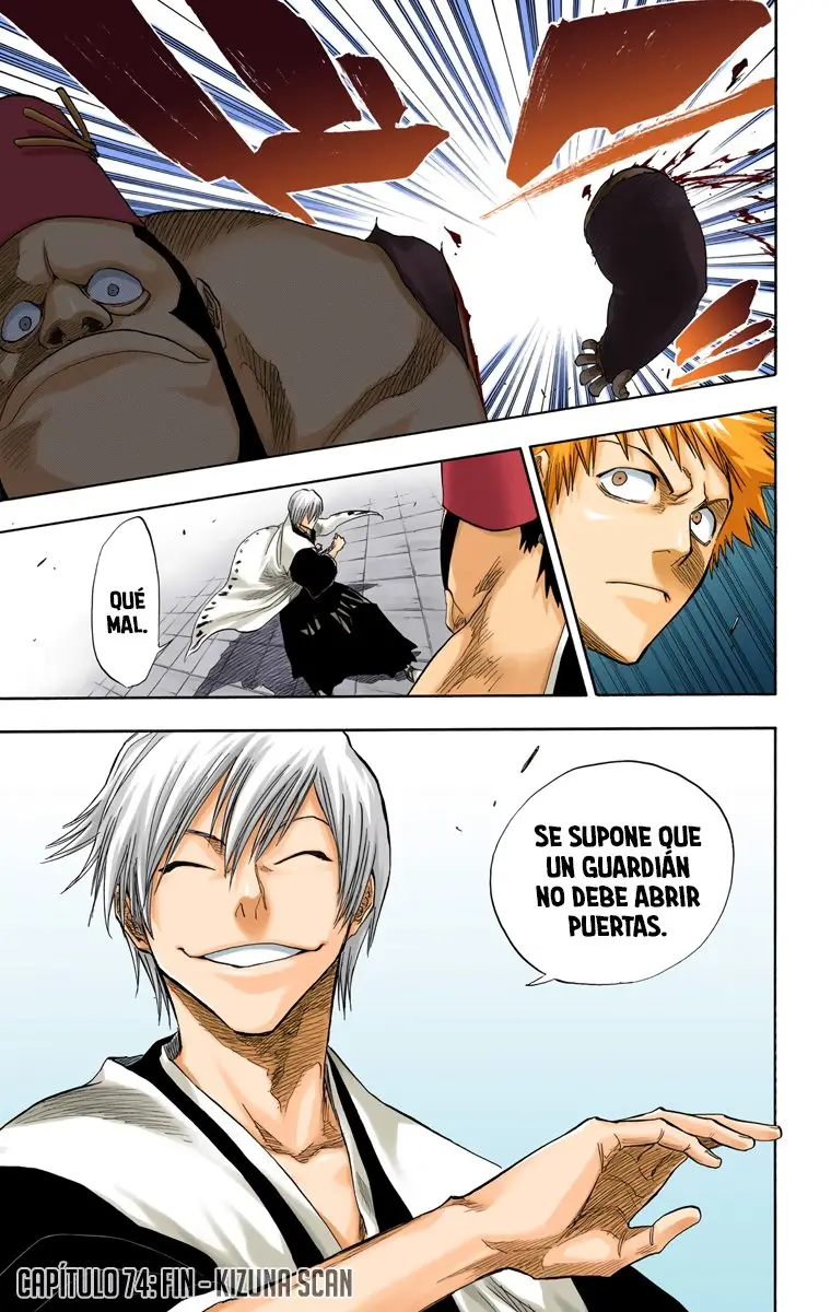 Bleach (Color) capítulo 74, página 19