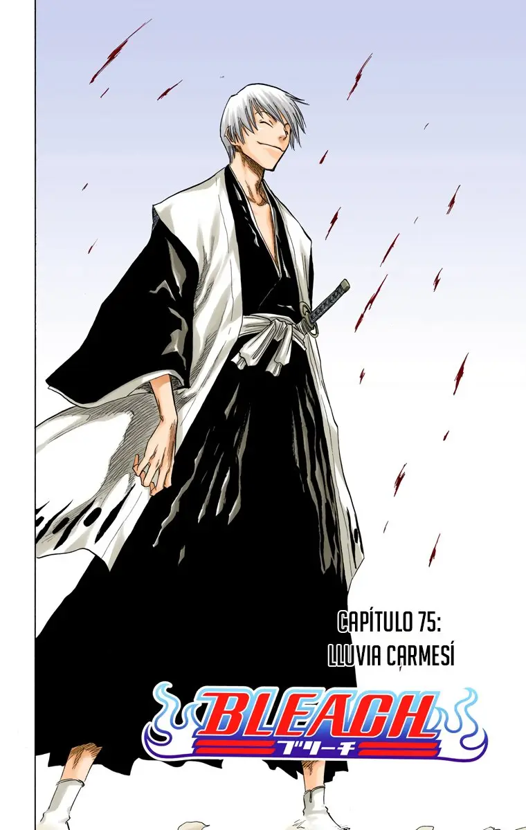 Bleach (Color) capítulo 75, página 4