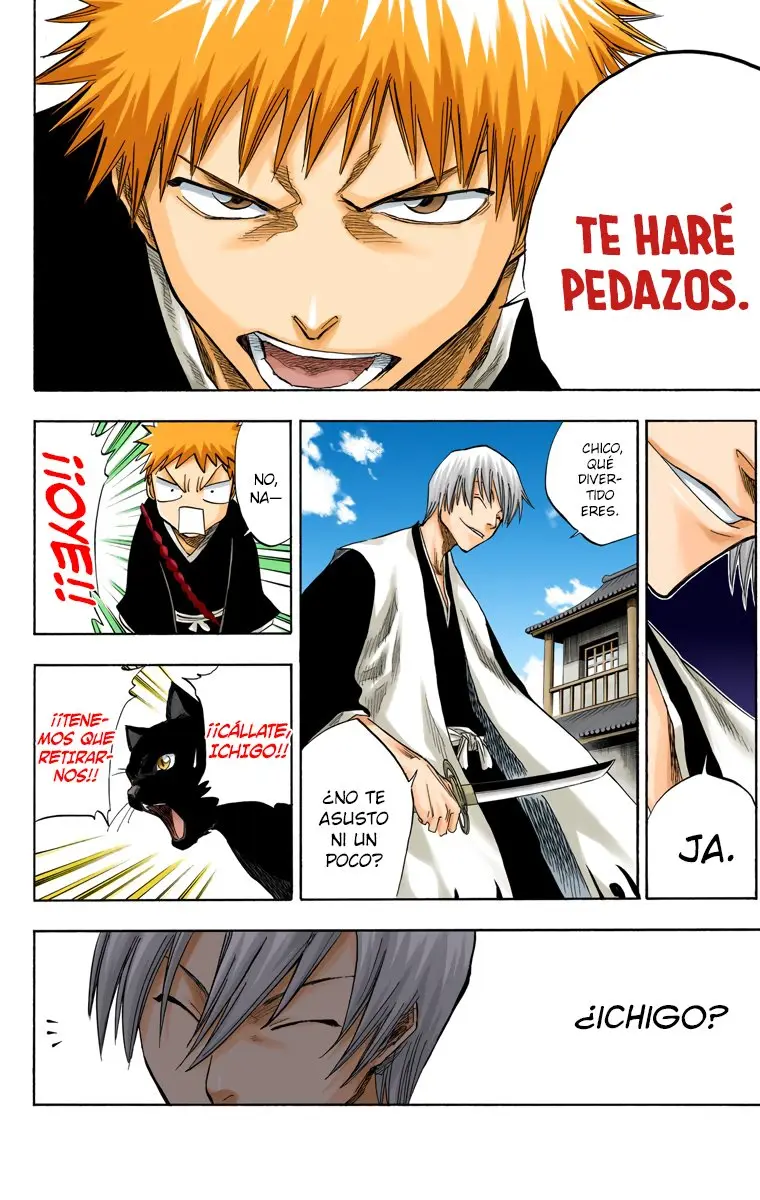 Bleach (Color) capítulo 75, página 12