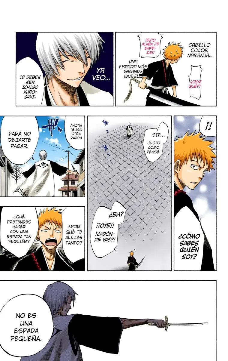 Bleach (Color) capítulo 75, página 13