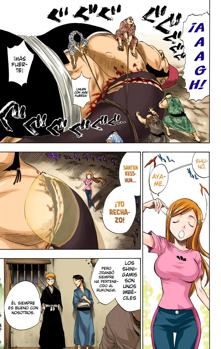 Bleach (Color) capítulo 76, página 7