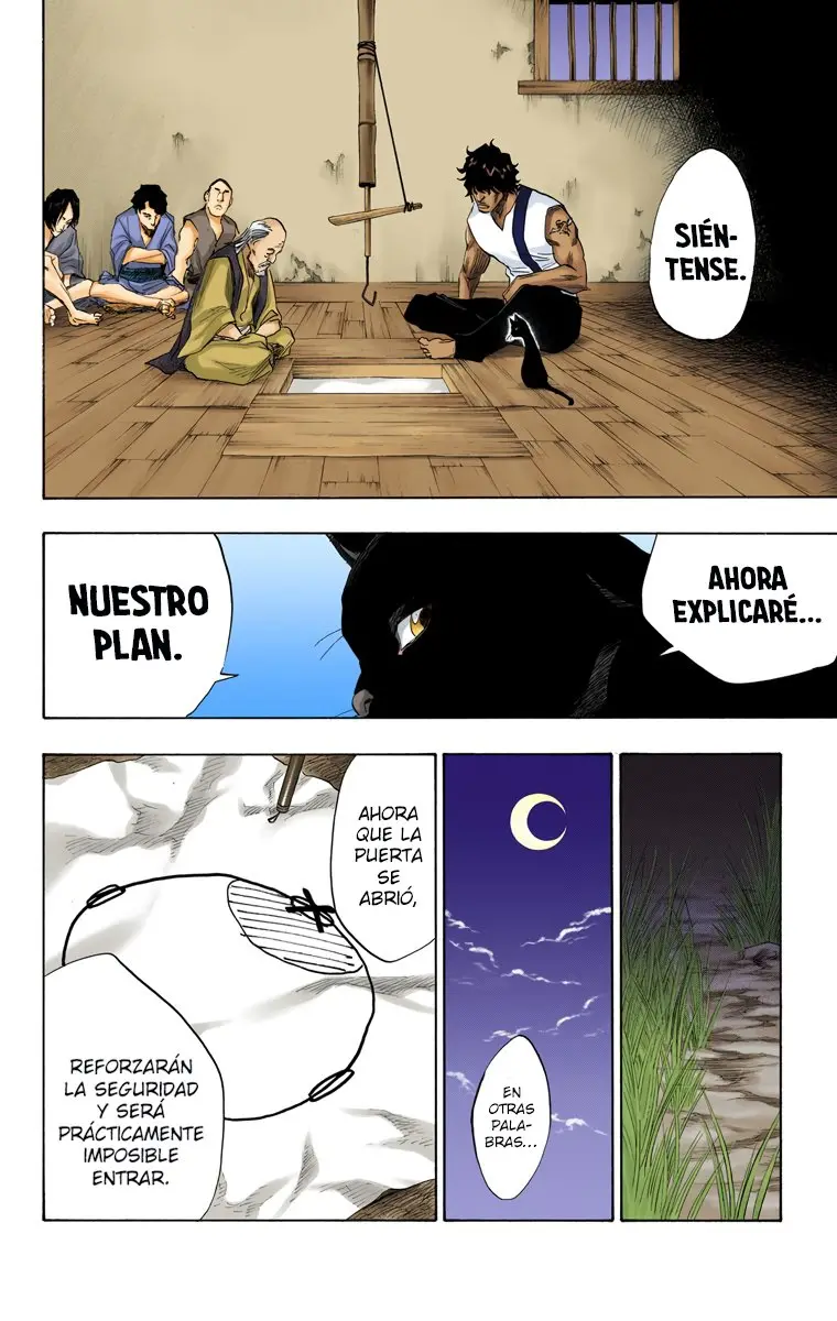 Bleach (Color) capítulo 76, página 14