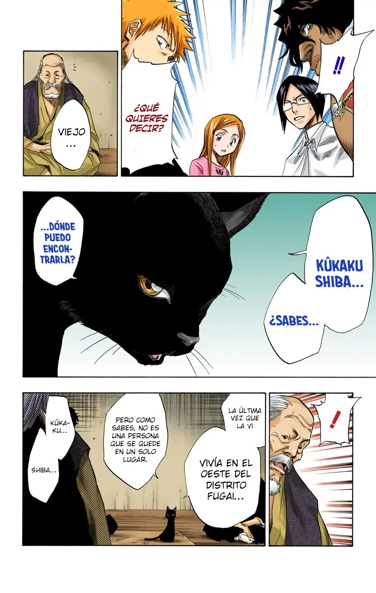 Bleach (Color) capítulo 76, página 16