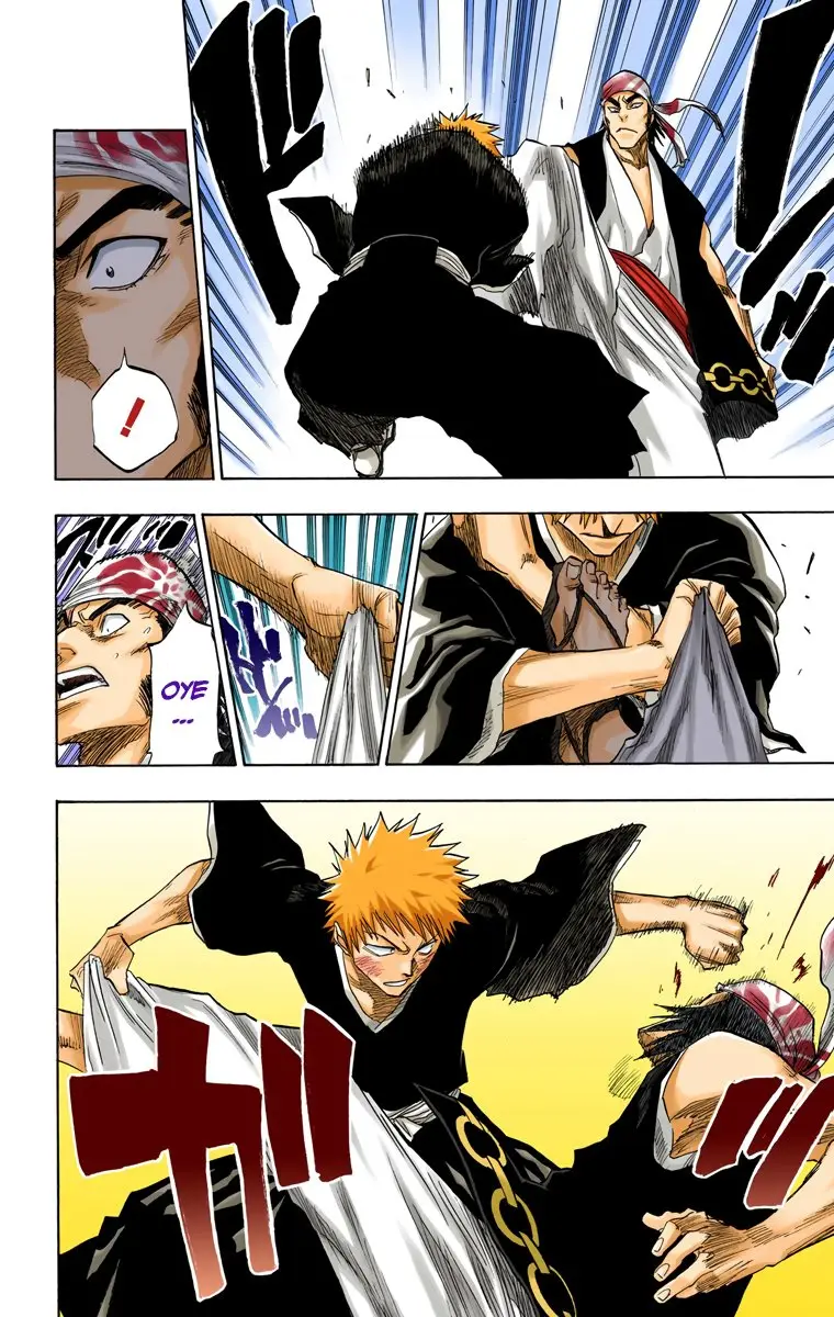 Bleach (Color) capítulo 77, página 17