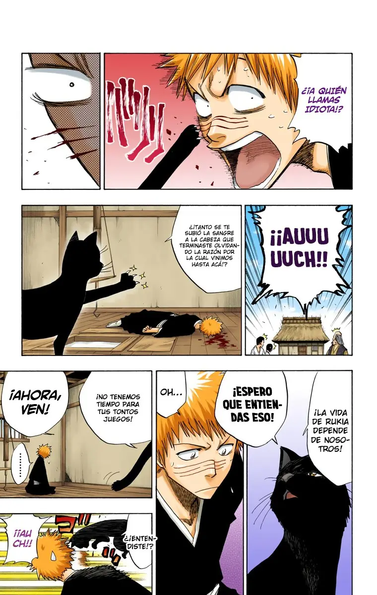 Bleach (Color) capítulo 78, página 8
