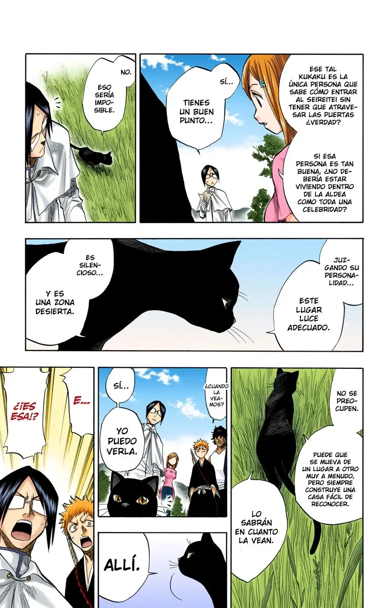 Bleach (Color) capítulo 78, página 10