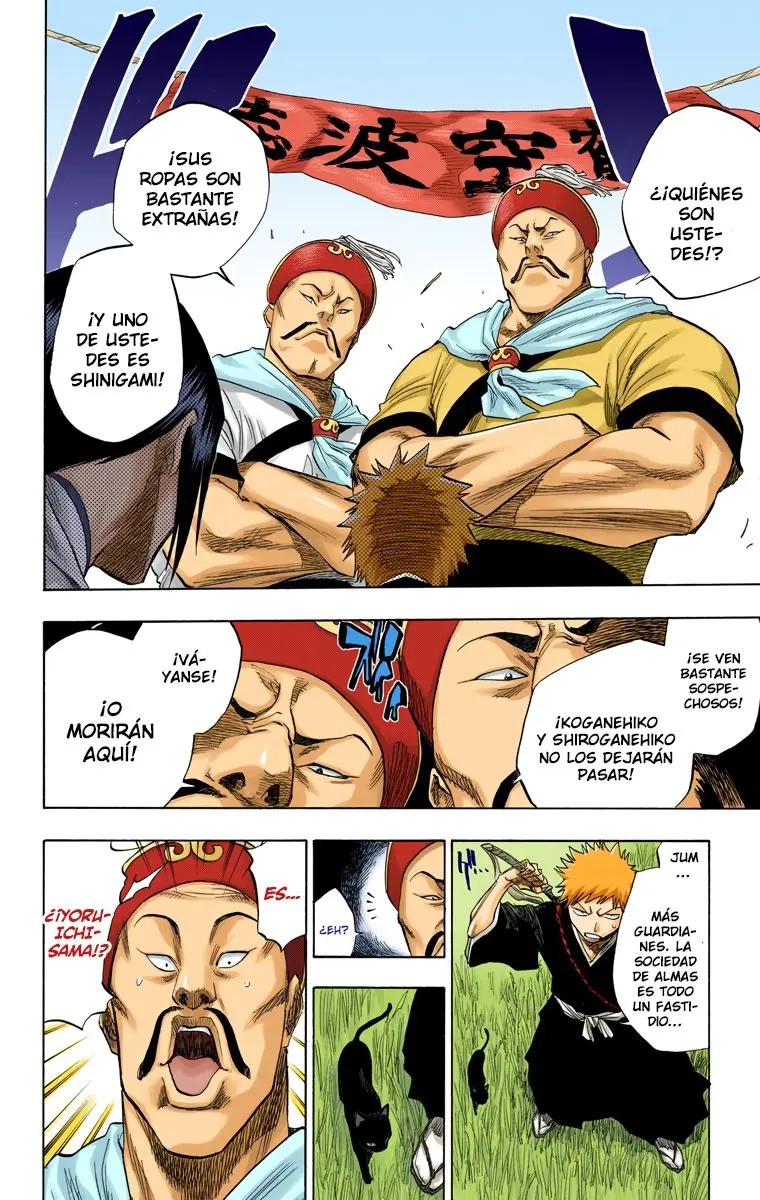 Bleach (Color) capítulo 78, página 13