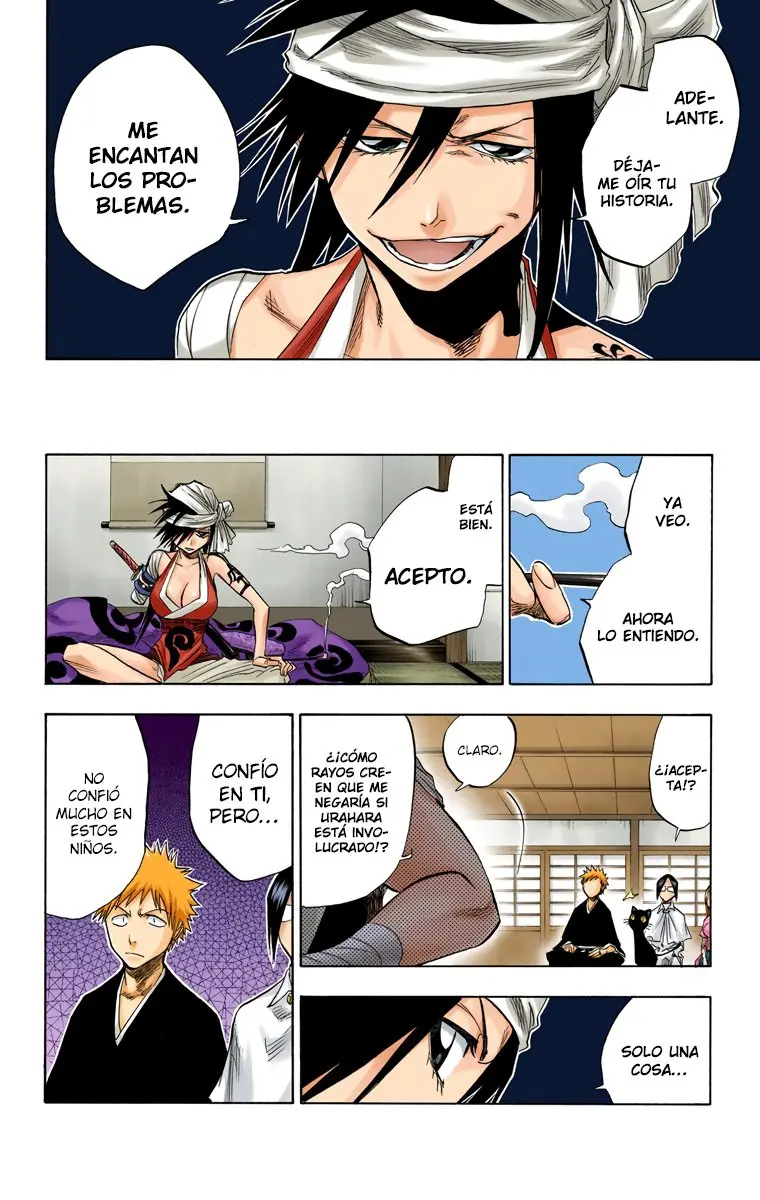 Bleach (Color) capítulo 78, página 17