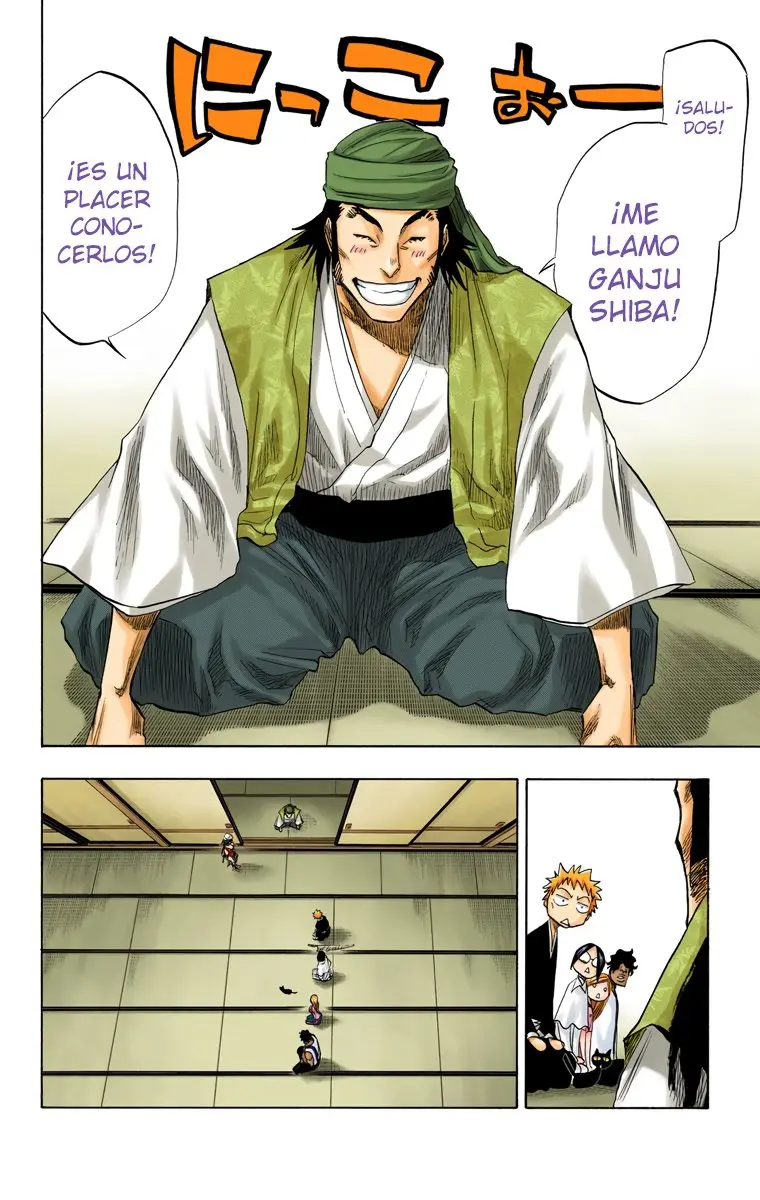 Bleach (Color) capítulo 78, página 19