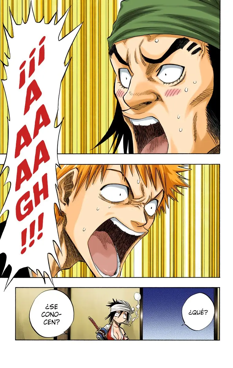 Bleach (Color) capítulo 78, página 20