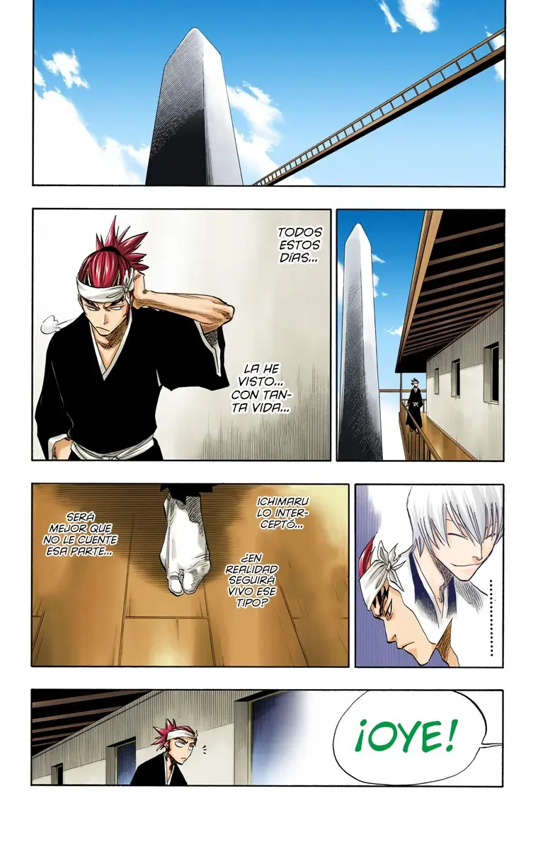 Bleach (Color) capítulo 79, página 9
