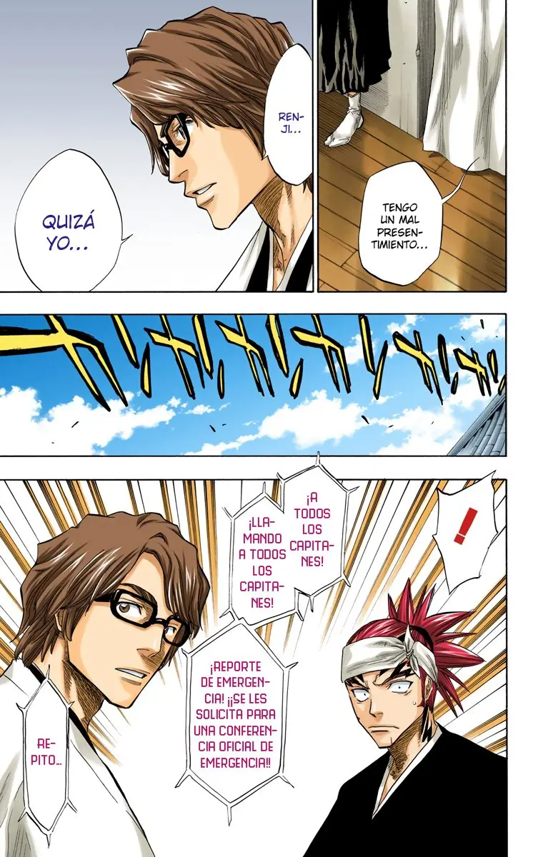 Bleach (Color) capítulo 79, página 14