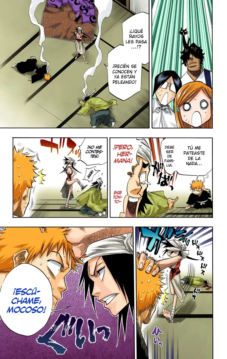 Bleach (Color) capítulo 79, página 16