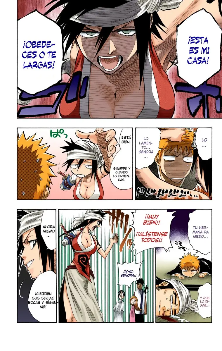 Bleach (Color) capítulo 79, página 17