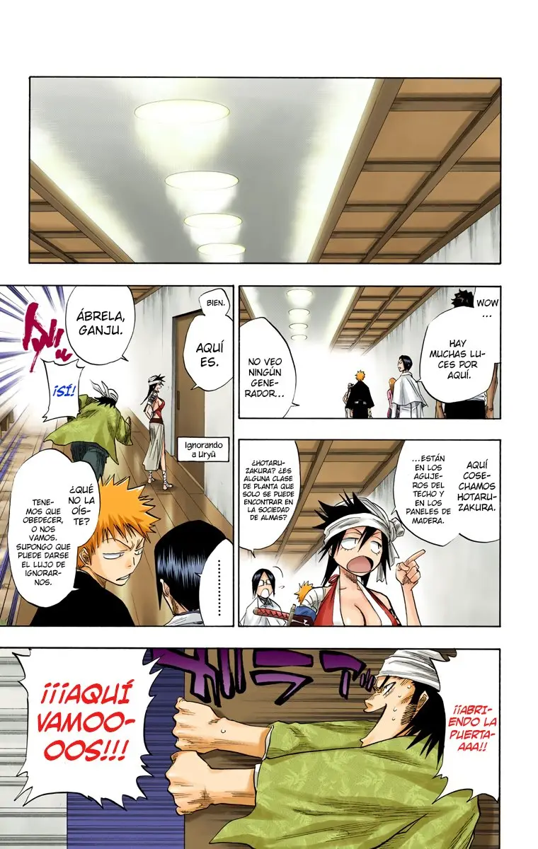 Bleach (Color) capítulo 79, página 18