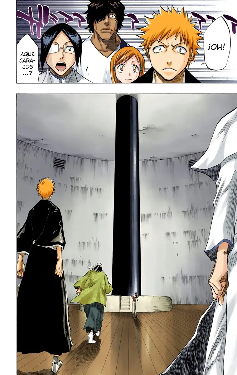 Bleach (Color) capítulo 79, página 19