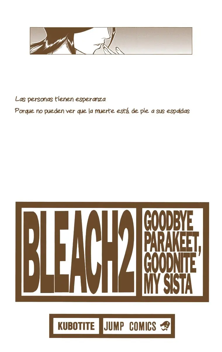 Bleach (Color) capítulo 8, página 2
