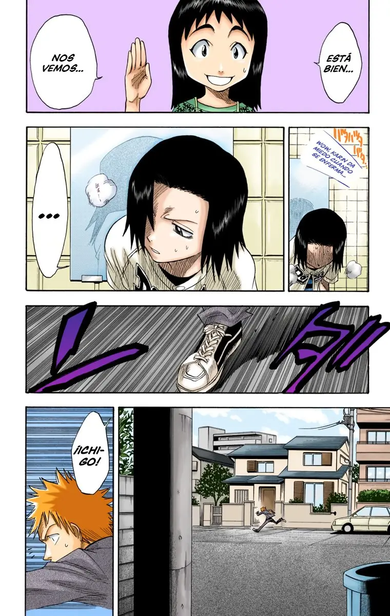 Bleach (Color) capítulo 8, página 12