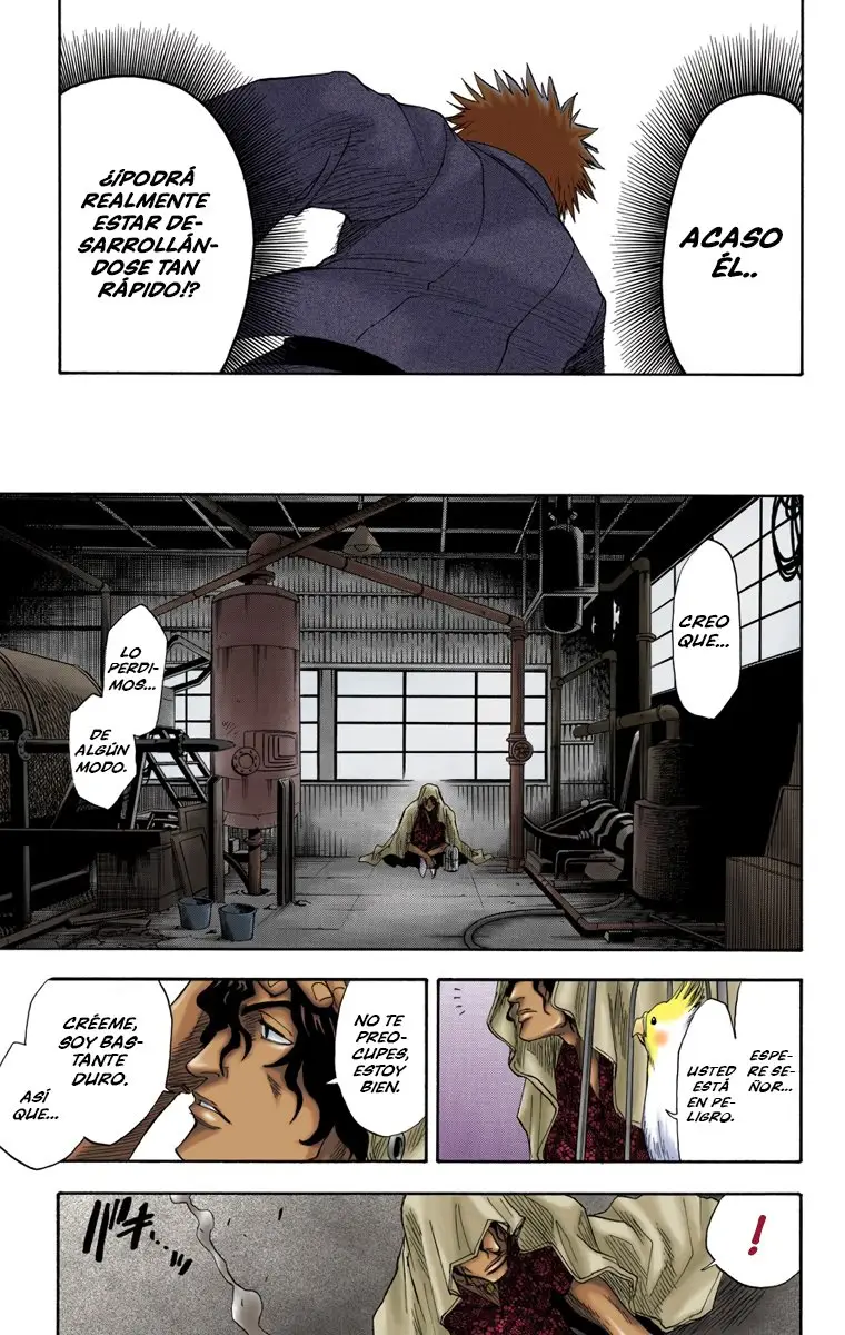 Bleach (Color) capítulo 8, página 17