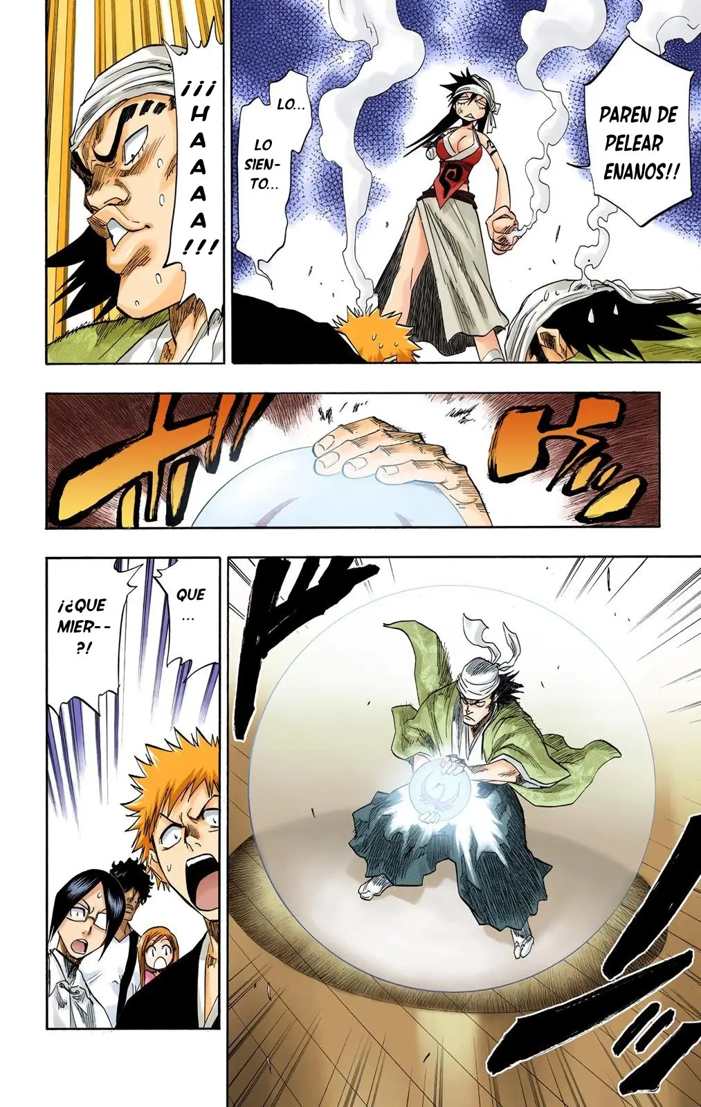 Bleach (Color) capítulo 80, página 14