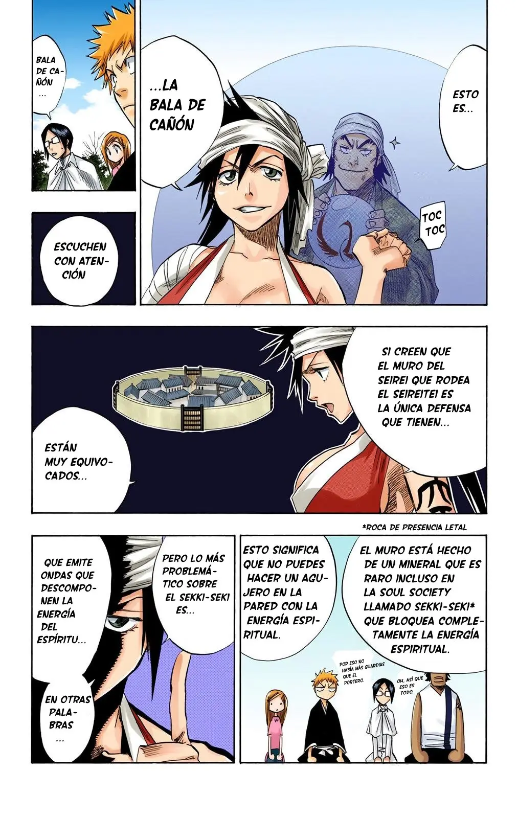Bleach (Color) capítulo 80, página 15