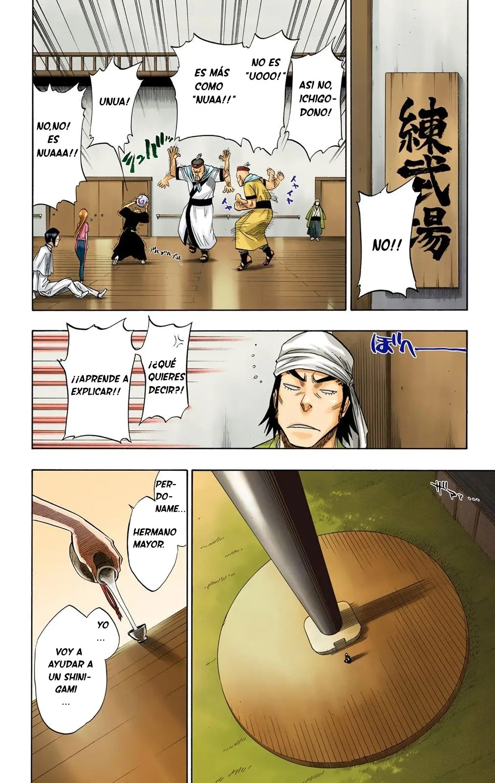 Bleach (Color) capítulo 80, página 24