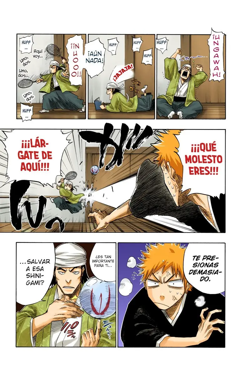 Bleach (Color) capítulo 81, página 10