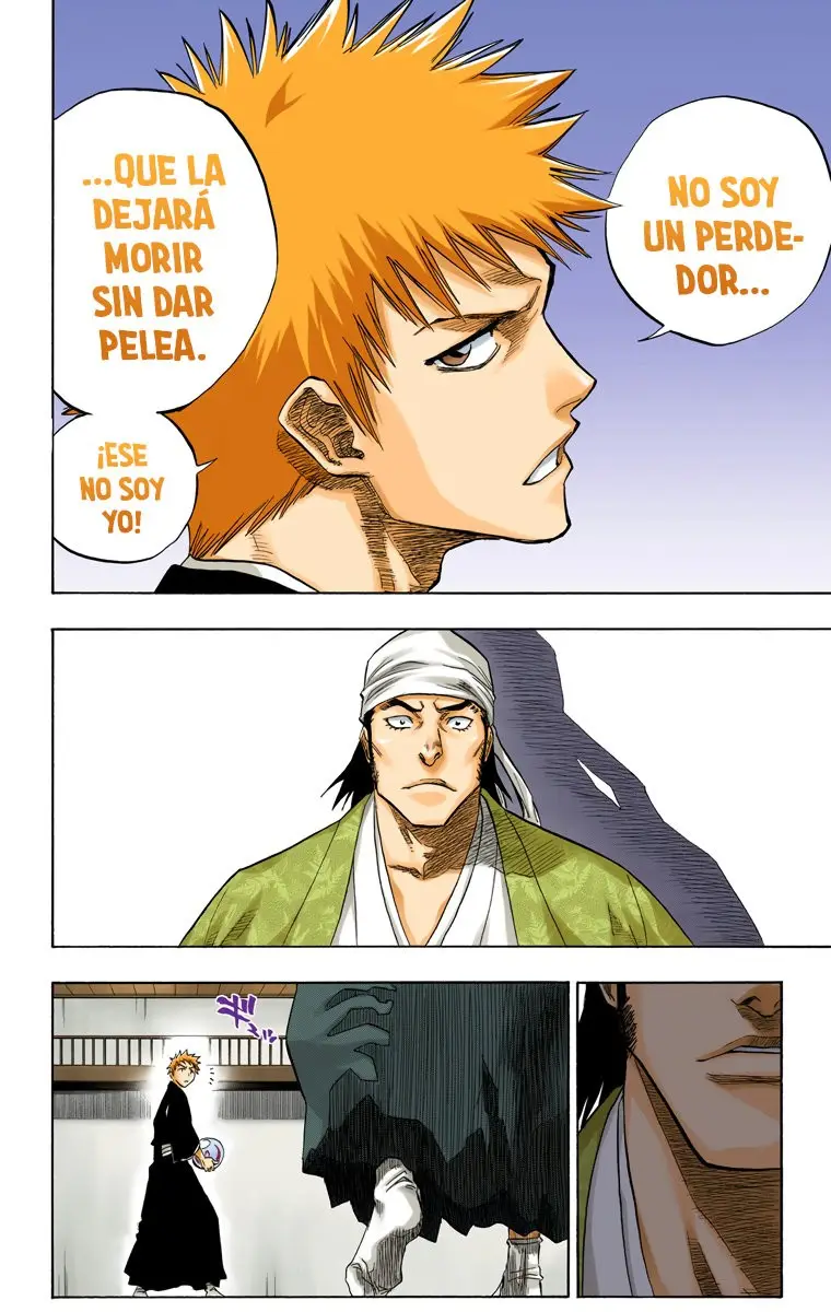 Bleach (Color) capítulo 81, página 13