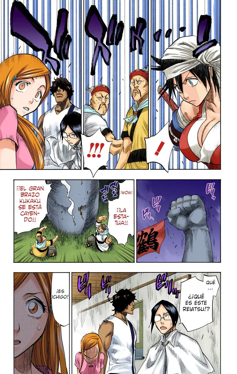 Bleach (Color) capítulo 82, página 10