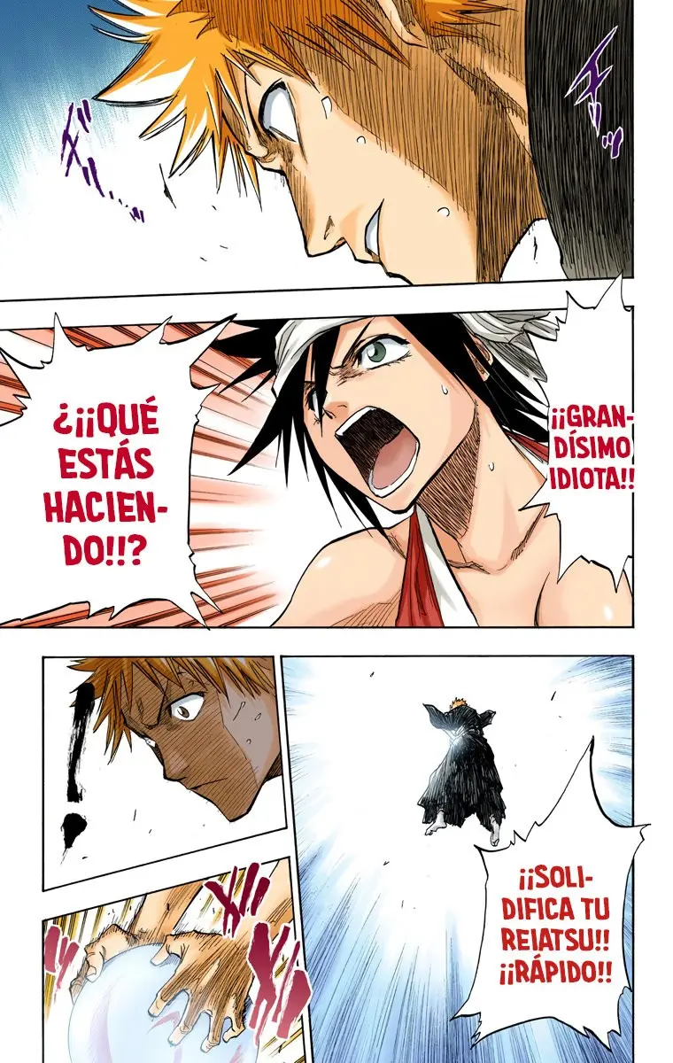 Bleach (Color) capítulo 82, página 14