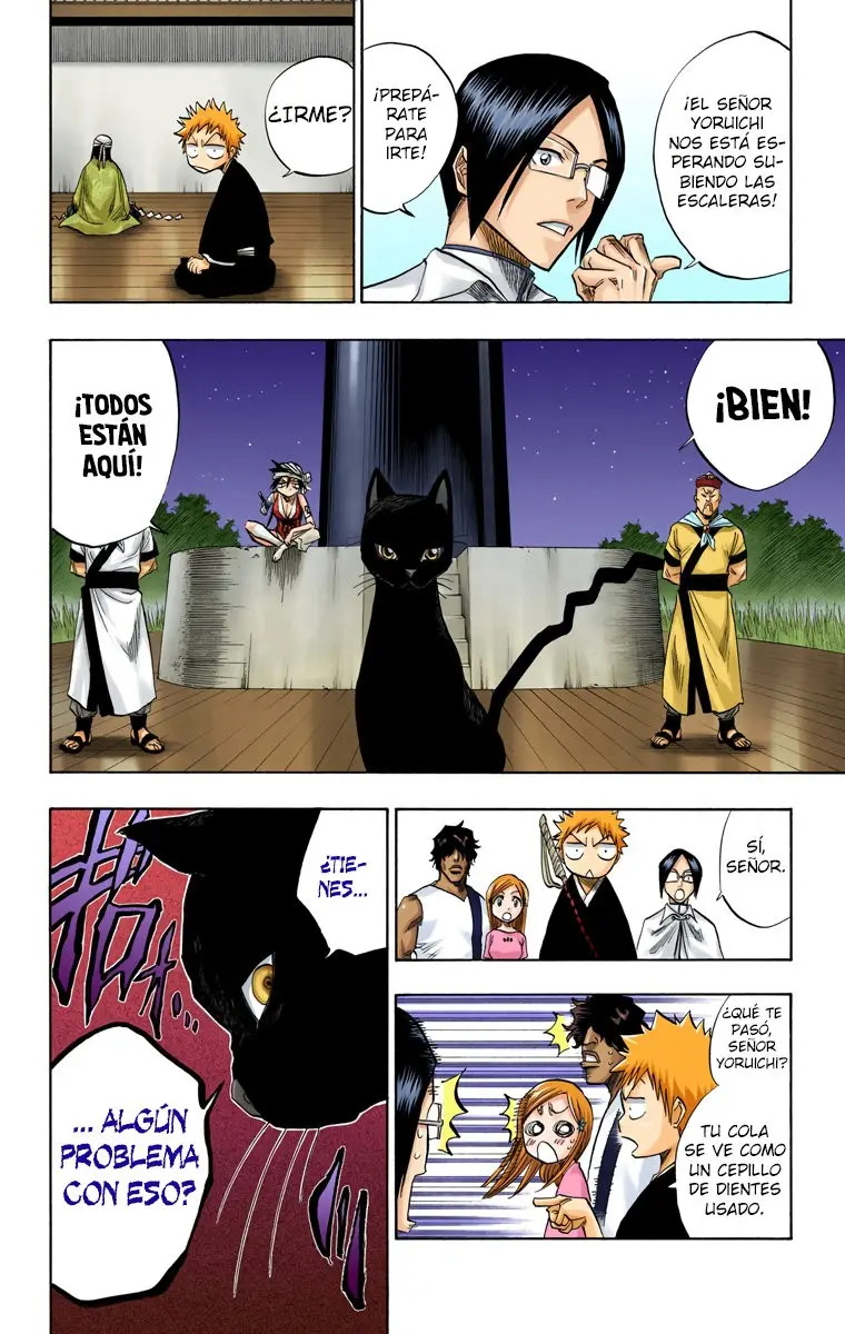 Bleach (Color) capítulo 83, página 11