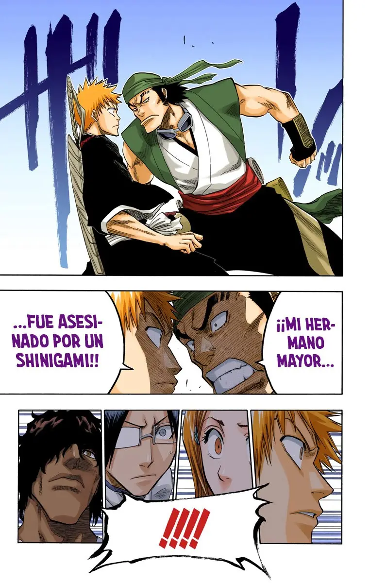 Bleach (Color) capítulo 83, página 14