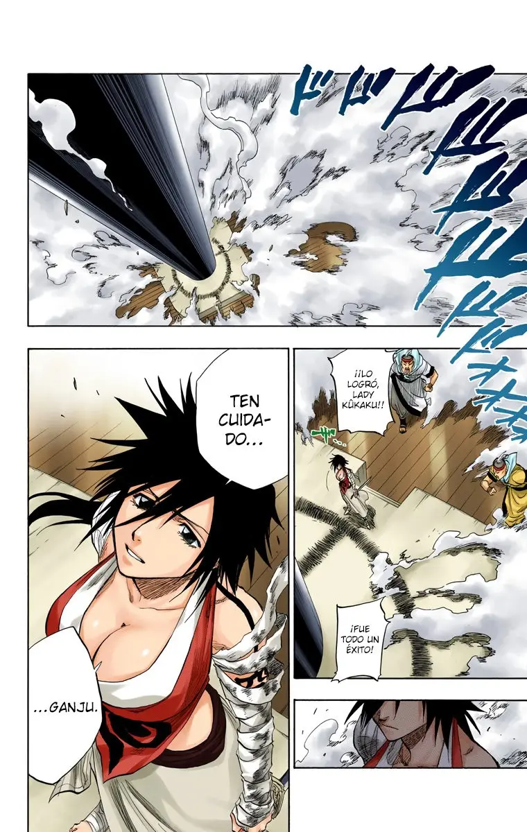 Bleach (Color) capítulo 84, página 11