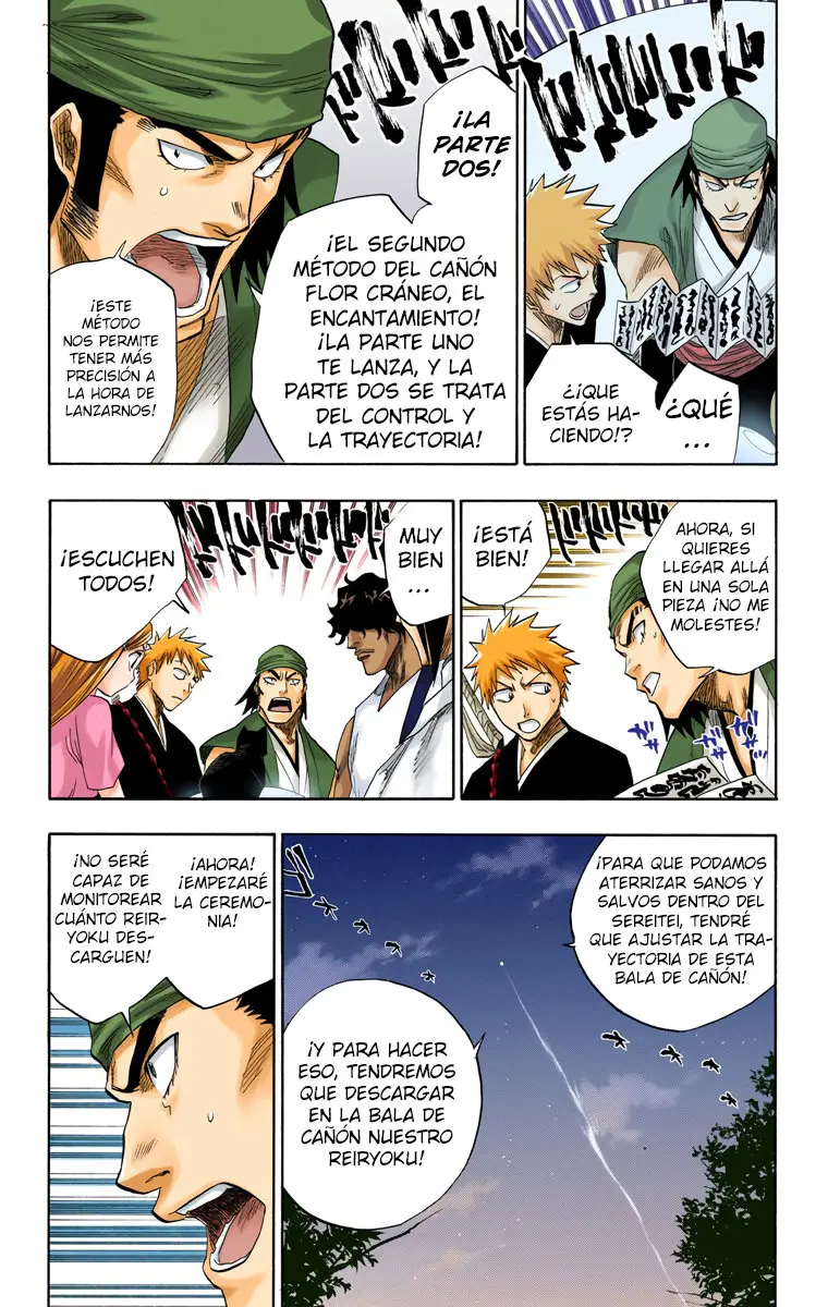 Bleach (Color) capítulo 84, página 14