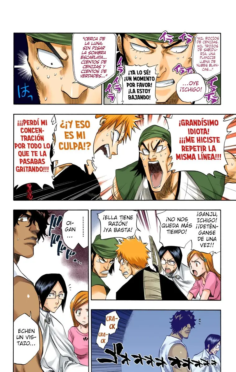 Bleach (Color) capítulo 84, página 17