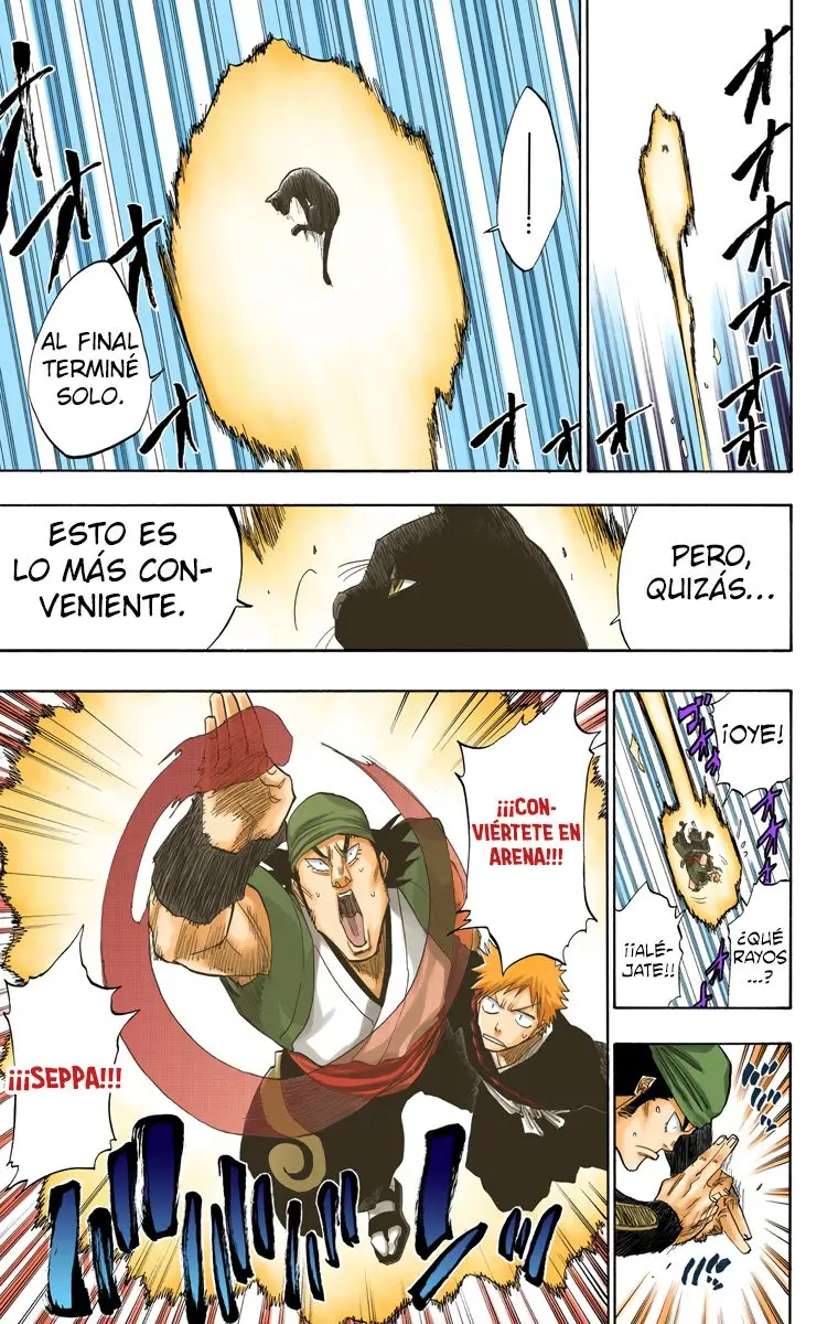 Bleach (Color) capítulo 85, página 17