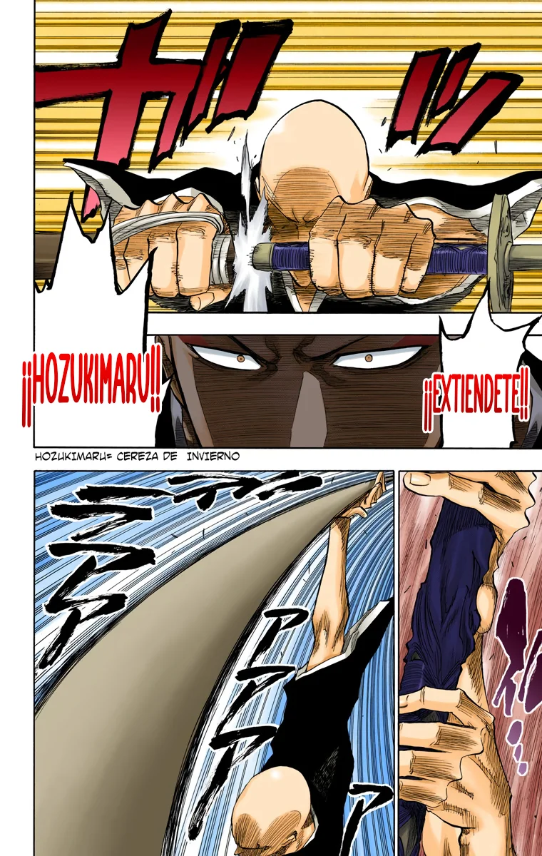 Bleach (Color) capítulo 87, página 15