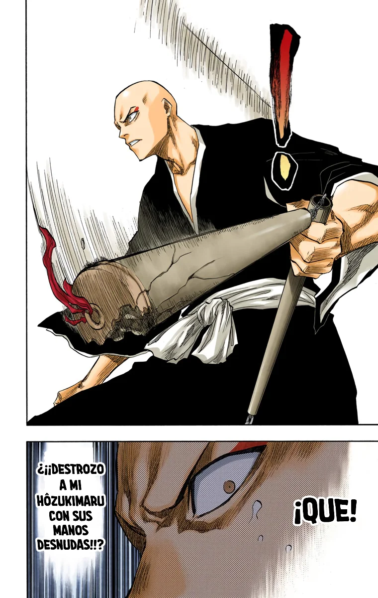 Bleach (Color) capítulo 88, página 9