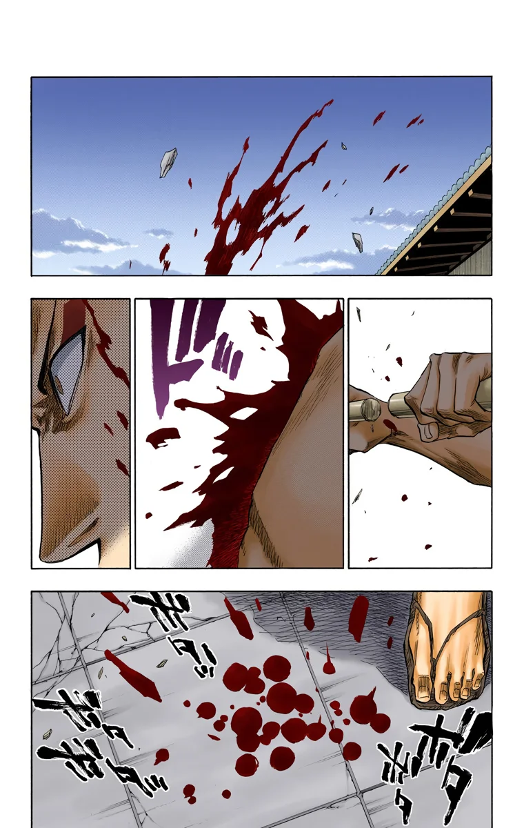 Bleach (Color) capítulo 88, página 12