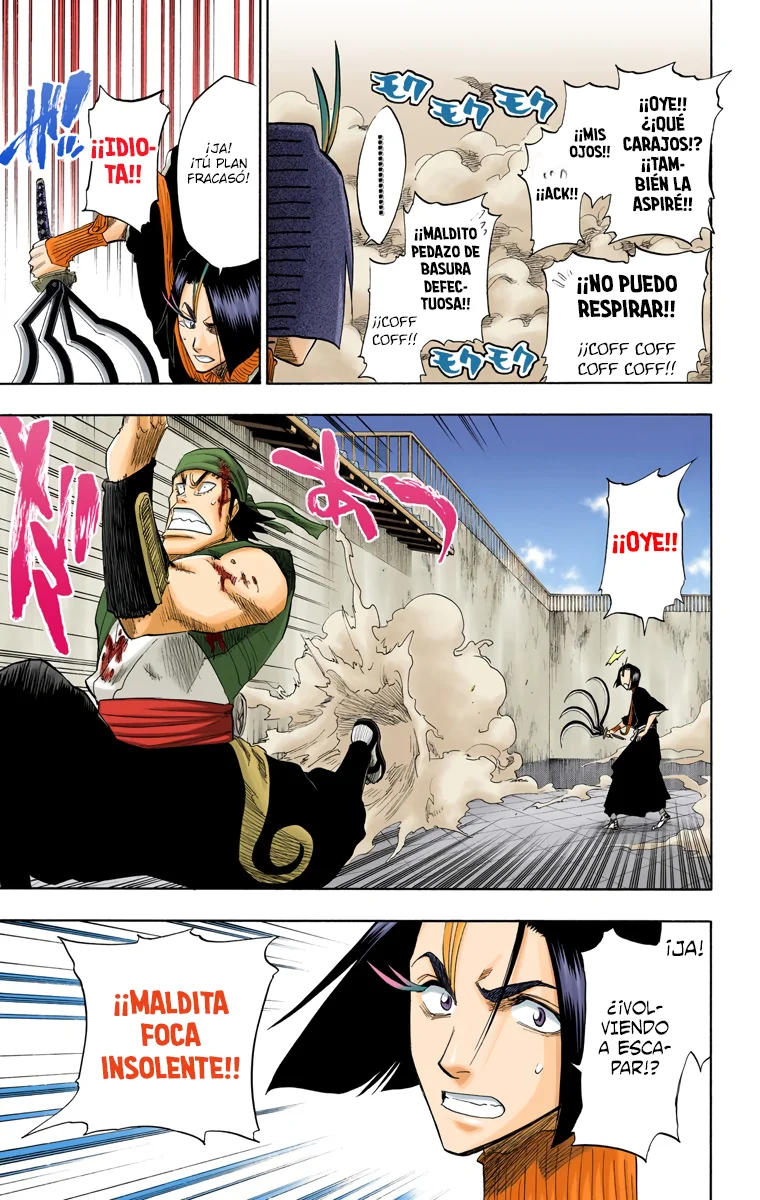 Bleach (Color) capítulo 89, página 10