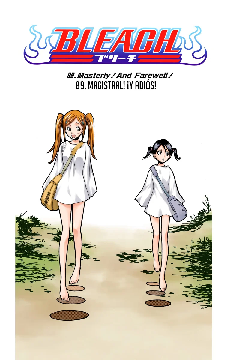 Bleach (Color) capítulo 89, página 11