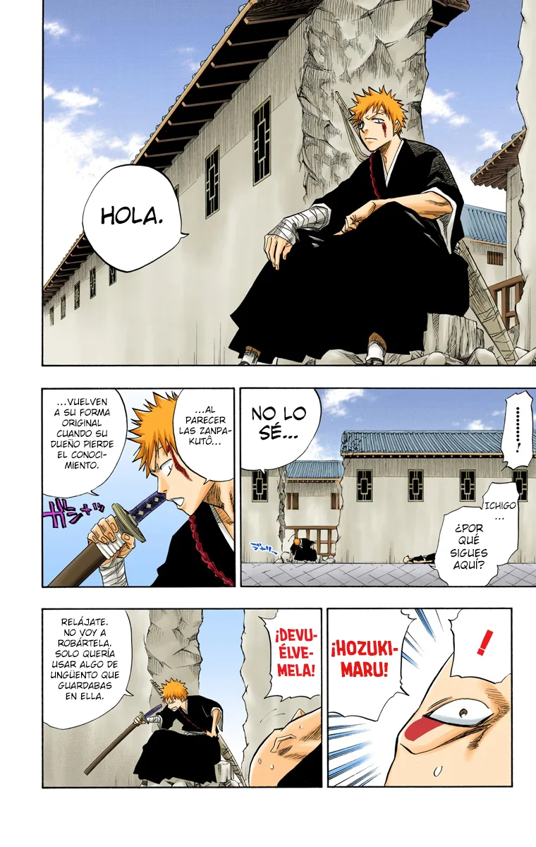 Bleach (Color) capítulo 89, página 13