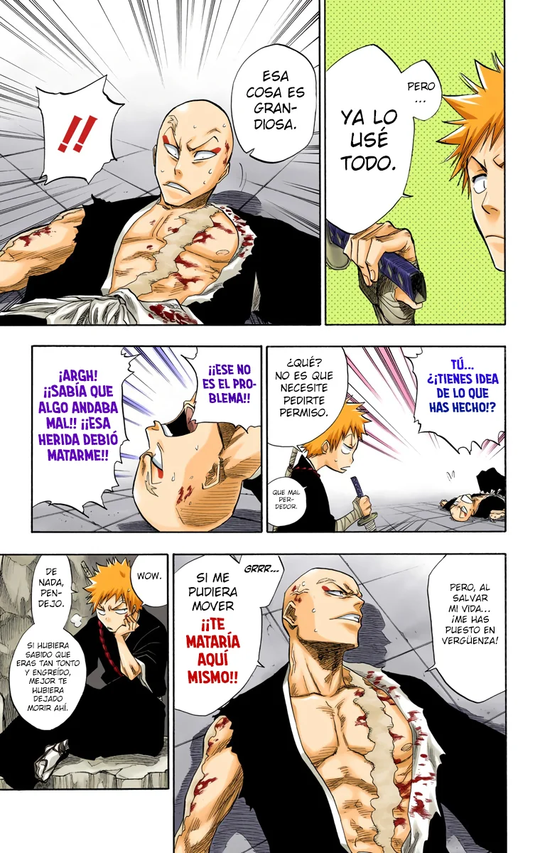 Bleach (Color) capítulo 89, página 14