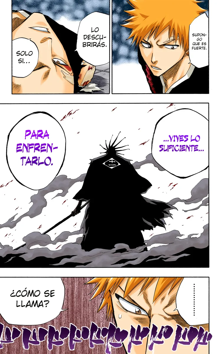 Bleach (Color) capítulo 89, página 20