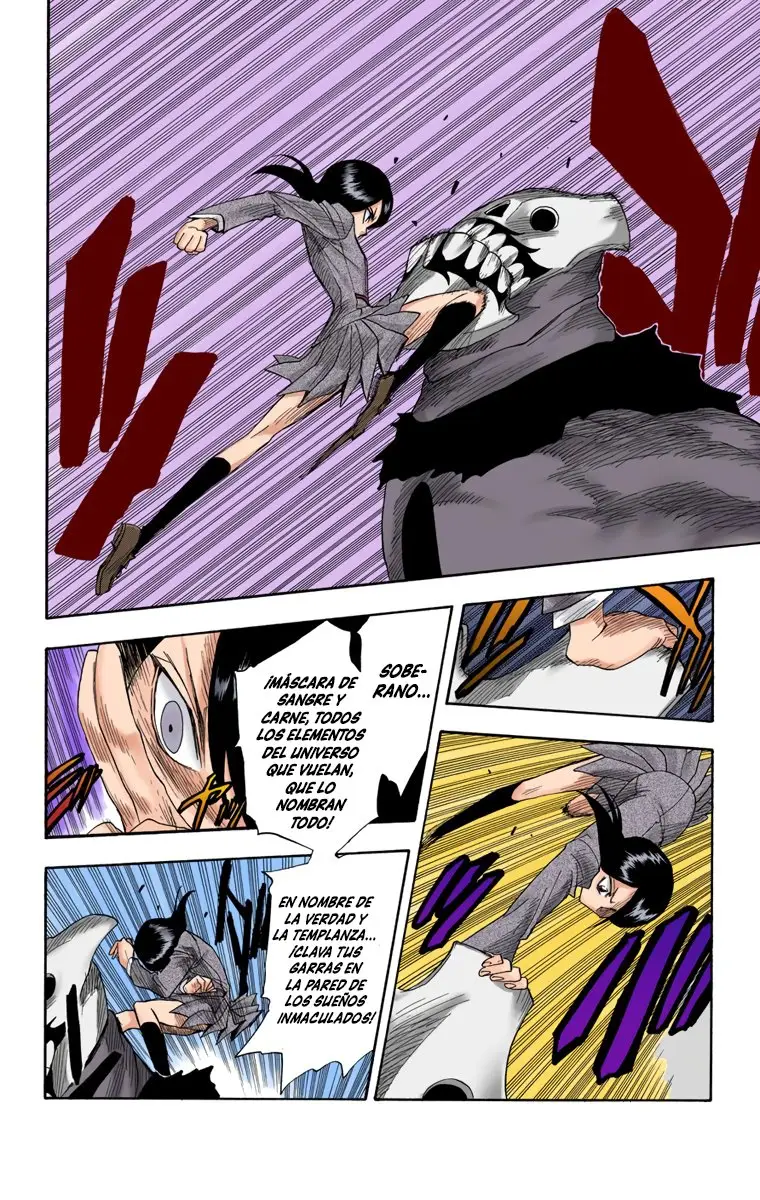Bleach (Color) capítulo 9, página 8